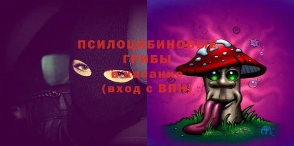 ECSTASY Богданович